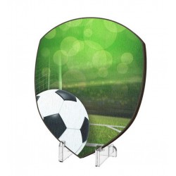 Plaketa WPP004M06 | Fotbal
