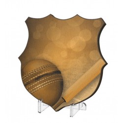 Plaketa WPPR002M19 | Cricket