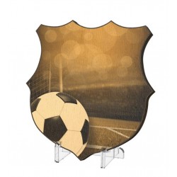 Plaketa WPPR002M11 | Fotbal