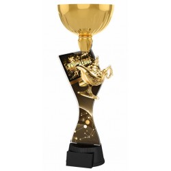 Akrylátová trofej ACUPCGNM24 | Quiz