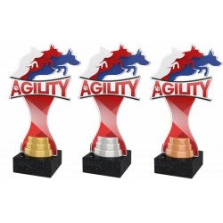 Akrylátová trofej ACBTM41 | Kynologie
