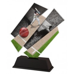 Akrylátová trofej ACZC001M37 | Cricket