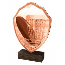 Dřevěná plaketa TFRW419 | Discgolf