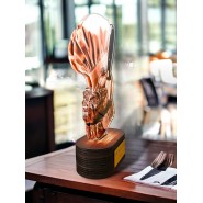 Akrylátová trofej TLR2023350 | Kuchyně