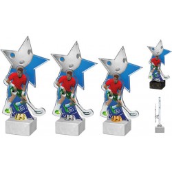 Akrylátová trofej ACTD006M2 | Florbal