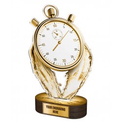 Akrylátová trofej TLR2023255 | Plavání