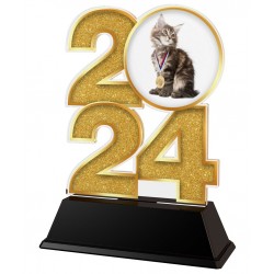 Akrylátová trofej C2024M70 | Billiard