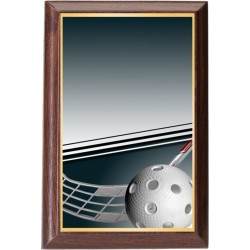 Plaketa PLP3M12 | Florbal