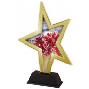 Akrylátová trofej STAR002M9