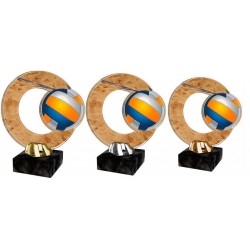 Akrylátová trofej ACL2101M18 | Volejbal