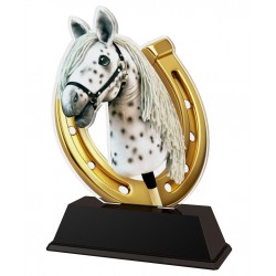 Akrylátová trofej FA200M41 | Hobbyhorsing
