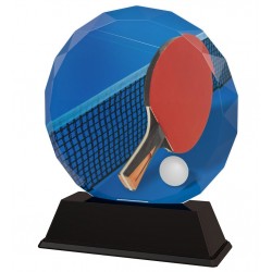 Akrylátová trofej ACER2017M16 | Stolní tenis