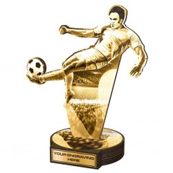 Dřevěná plaketa RWR107 | Fotbal