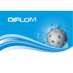 Diplom DP0015 | Florbal