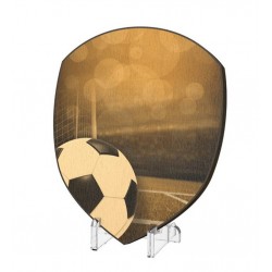 Plaketa WPPR004M06 | Fotbal