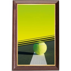 Plaketa PLP3M5 | Tenis