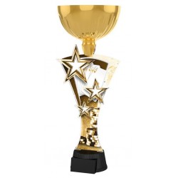 Akrylátová trofej ASTARNCUPM14 | Karty