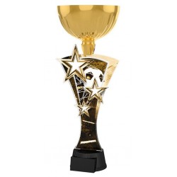 Akrylátová trofej ASTARNCUPM01 | Fotbal