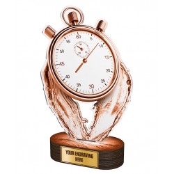 Akrylátová trofej TLR2023257 | Plavání
