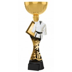 Akrylátová trofej ACUPCGNM17 | Bojová umění