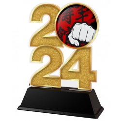 Akrylátová trofej C2024M14 | Bojová umění