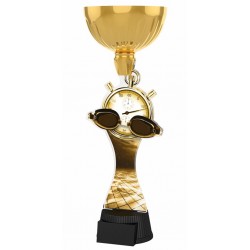 Akrylátová trofej ACUPCGNM10 | Plavání