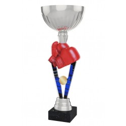 Akrylátová trofej ACUPSILVM16 | Bojová umění