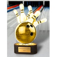 Akrylátová trofej TLR2023309 | Bowling