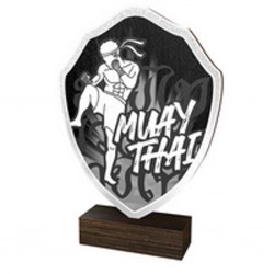Dřevěná plaketa TFRW156 | Bojová umění