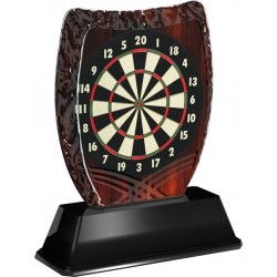 Akrylátová trofej ACE2018M26 | Šipky