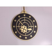 Kovová medaile MDM05M19 | Florbal