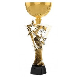 Akrylátová trofej ASTARNCUPM08 | Atletika
