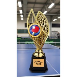 Designová trofej AV1M31 | Stolní tenis