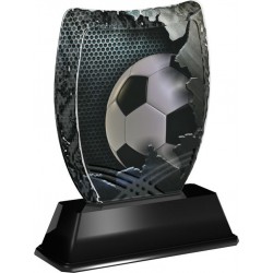 Akrylátová trofej ACE2018M04 | Fotbal