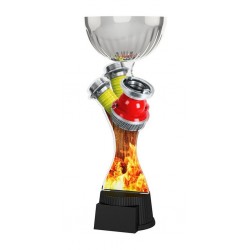 Akrylátová trofej ACUPCSMINIM11 | Hasiči