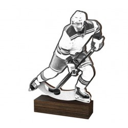 Dřevěná plaketa WF314 | Hokej