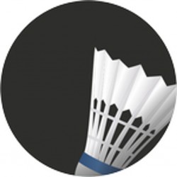 Emblém ES29 | Badminton