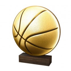 Dřevěná plaketa WF259 | Basketball