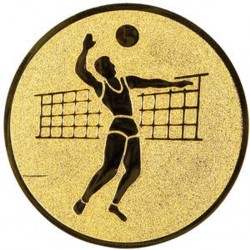 Emblém LTK019 | Volejbal