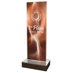 Akrylátová trofej WPLA265