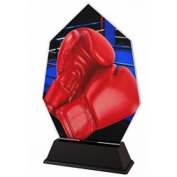 Akrylátová trofej ACSC001M32 | Bojová umění