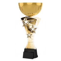 Akrylátová trofej ASTARNCUPMINIM13 | Hokej