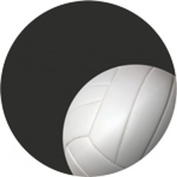 Emblém ES25 | Volejbal