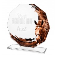 Skleněná trofej CR2024301M37 | Jezdectví