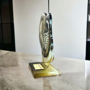 Akrylátová trofej AWF M81 | Hokej