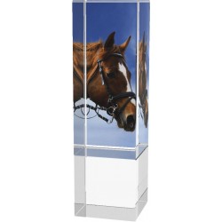 Skleněná trofej CR4034M16 | Jezdectví