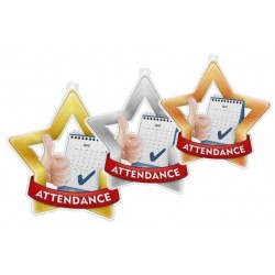 Akrylátová medaile MDASTARM81 | Univerzální