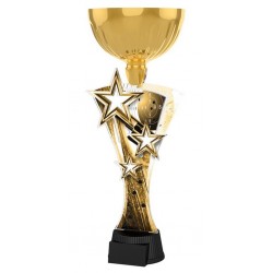 Akrylátová trofej ASTARNCUPM06 | Střelba