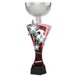 Akrylátová trofej ASTARRCUPM01 | Fotbal