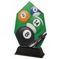 Akrylátová trofej ACSC001M13 | Billiard